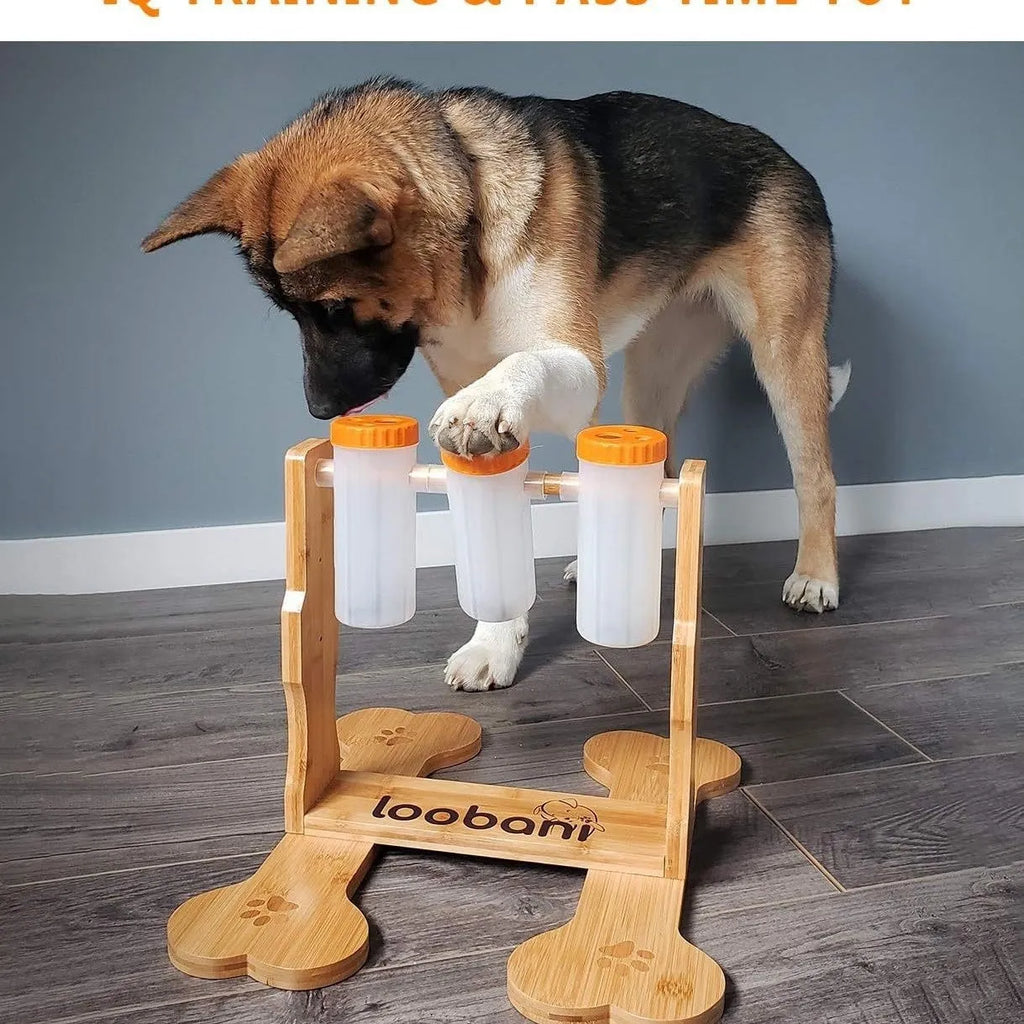 Wooden dog puzzle feeder with multiple compartments measuring 31×30×20cm