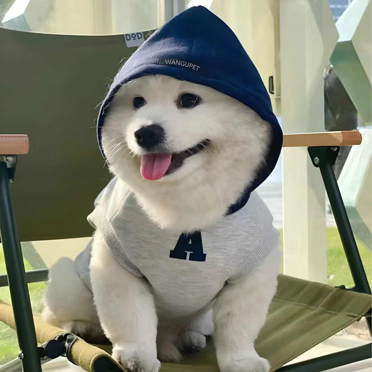 Blue pet hoodie with reflective letters on a dog, showing slim-fitting design and hood