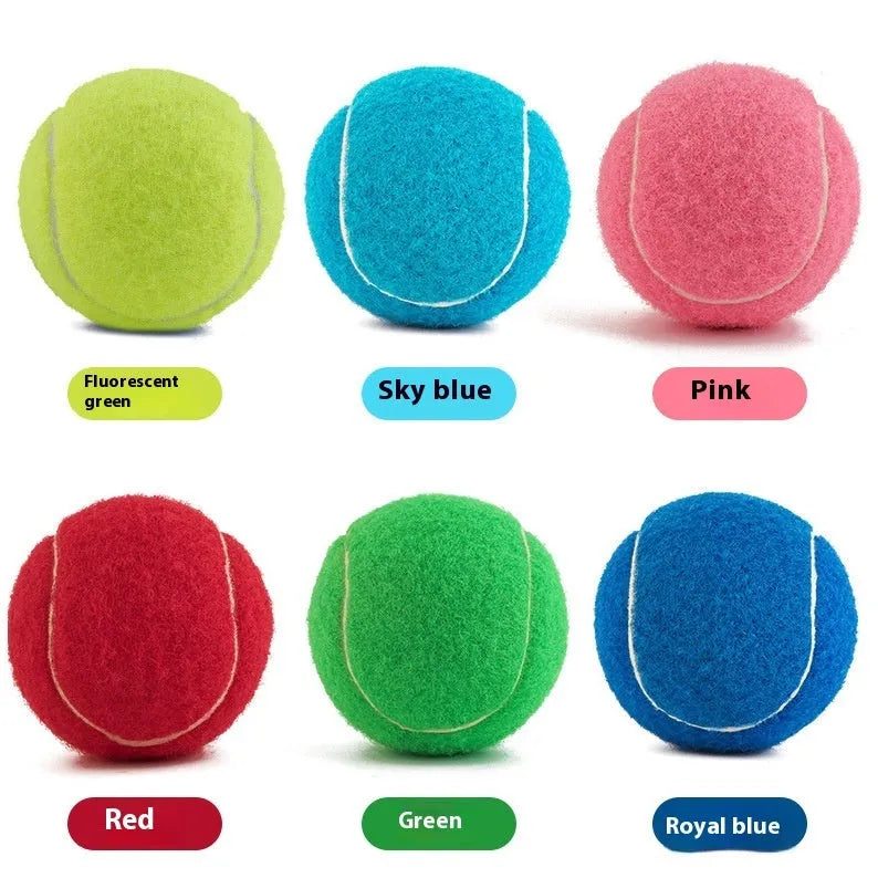 6.3cm bite-resistant rubber dog tennis ball in assorted colours including pink, blue, and green.