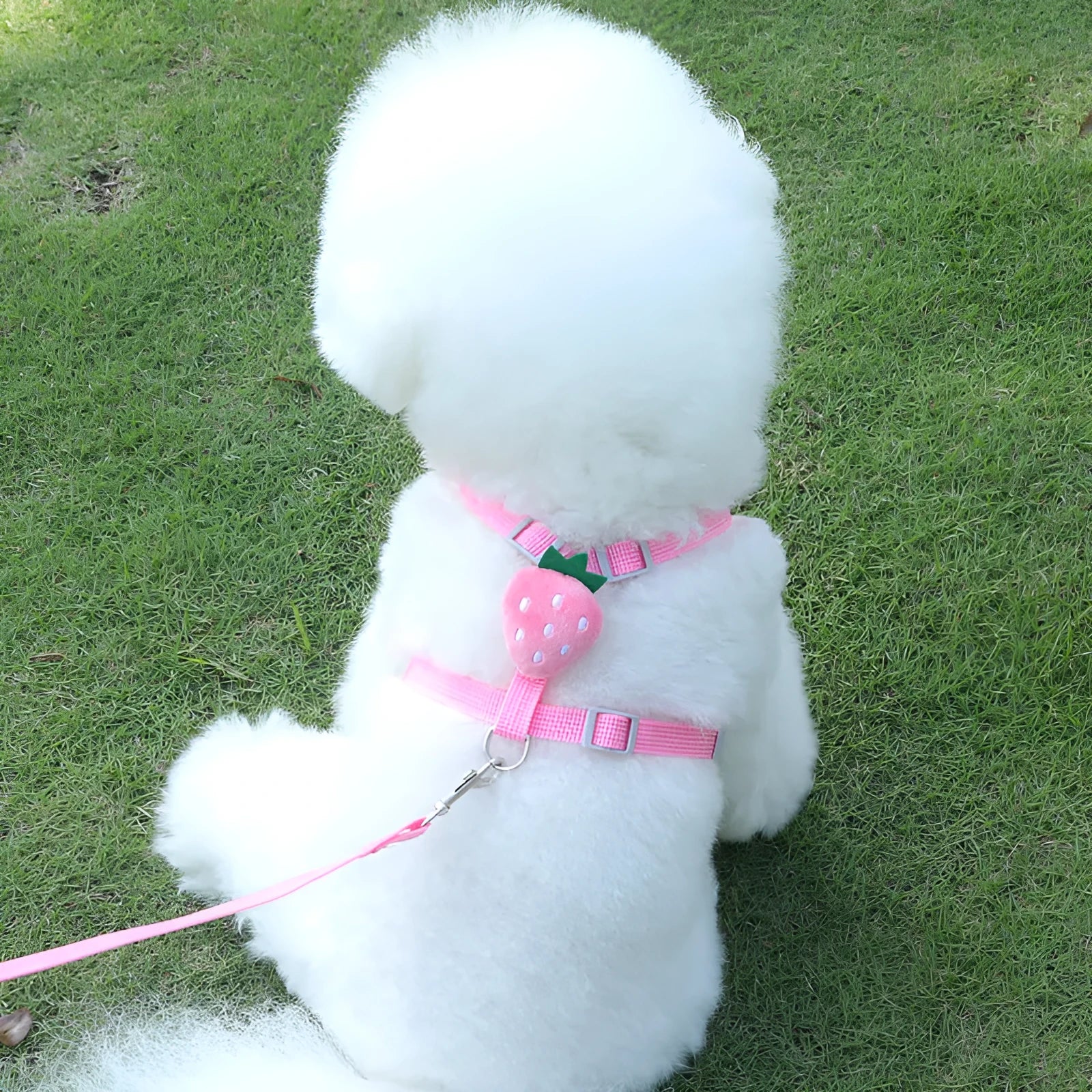 Reversible reflective vest-style dog harness with attached leash for a small dog, shown in avocado colour.