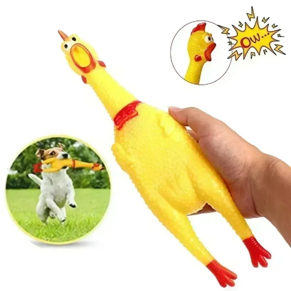 Yellow rubber screaming chicken dog squeak toy shown in small, medium and large sizes