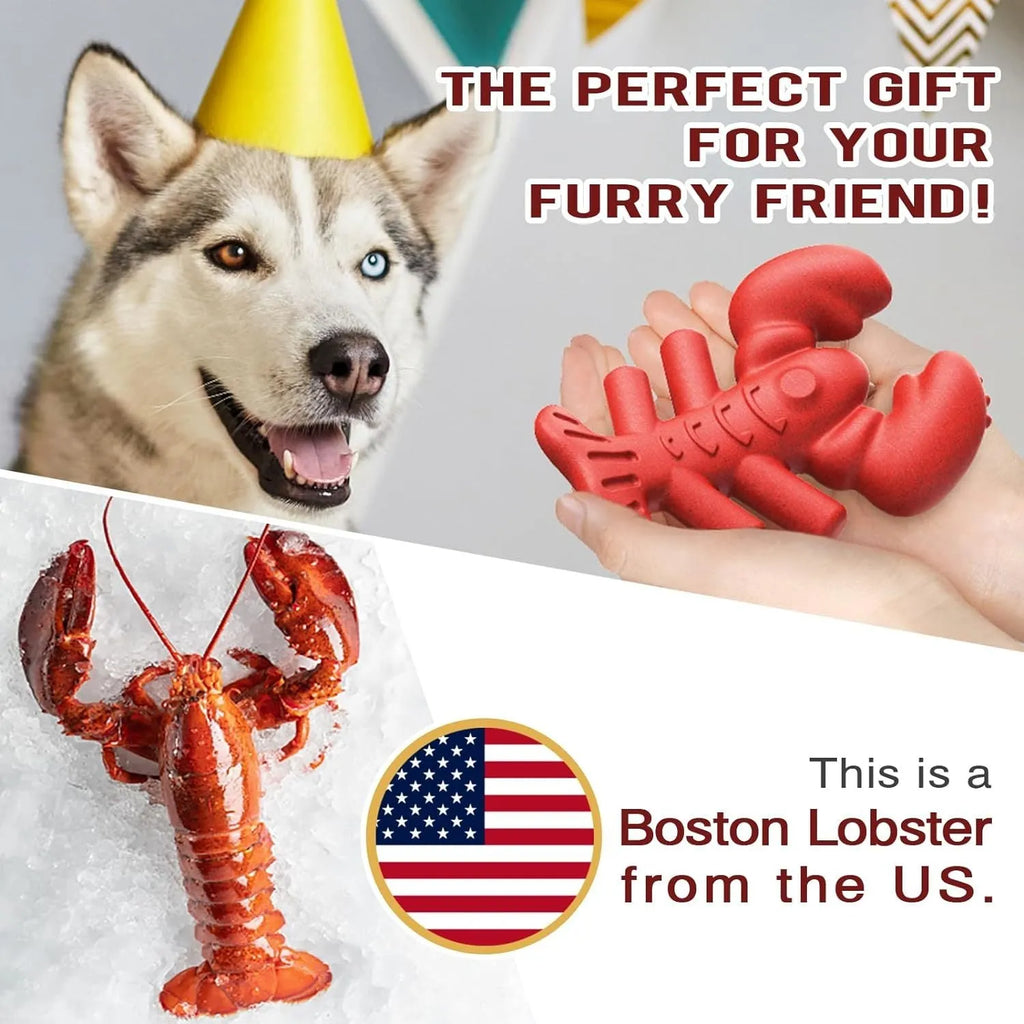 Red nylon chew bone dog toy for large breed aggressive chewers