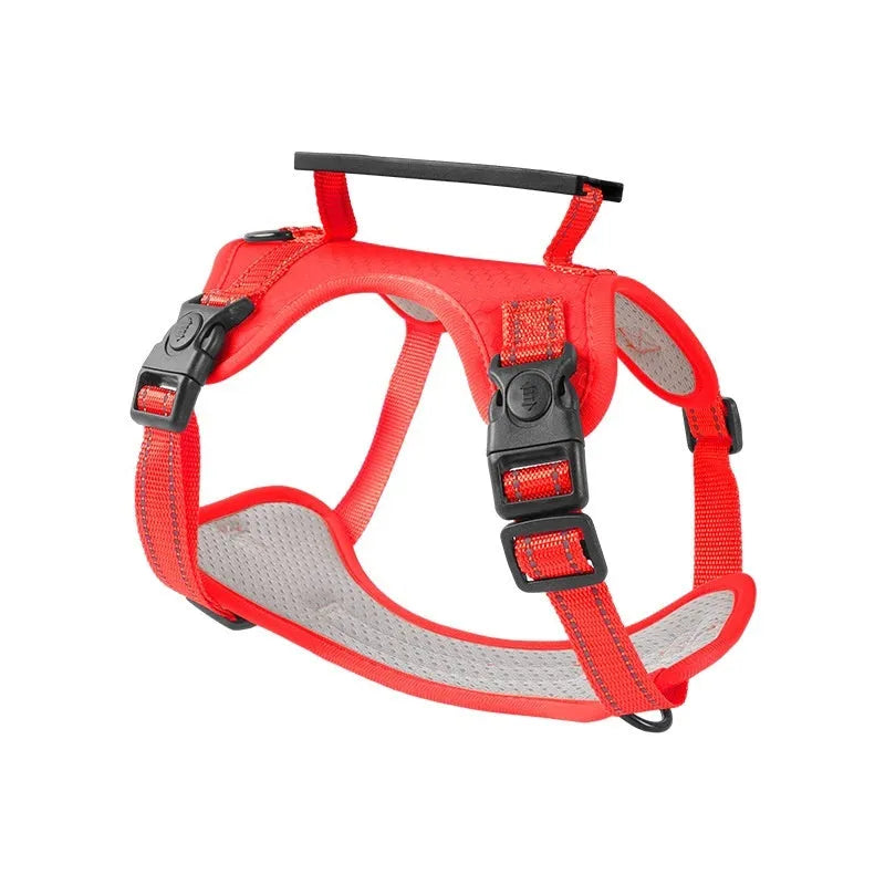 Adjustable polyester dog chest harness and lead in various colours on a white background