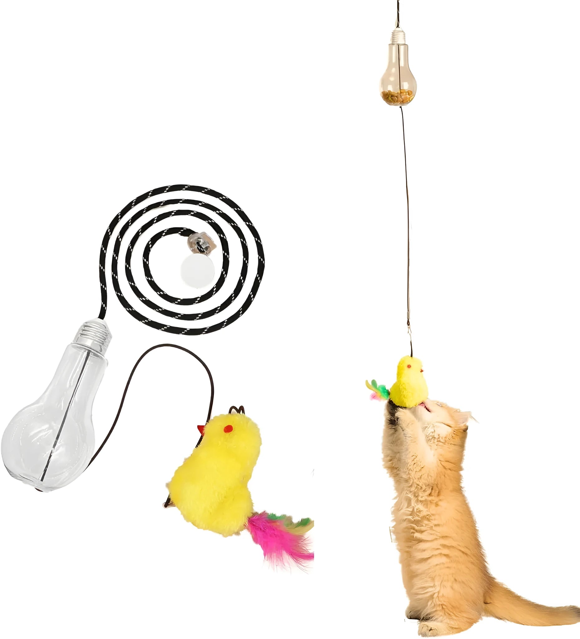 Interactive cat toy hanging from door frame with elastic rope and dangling mouse toy