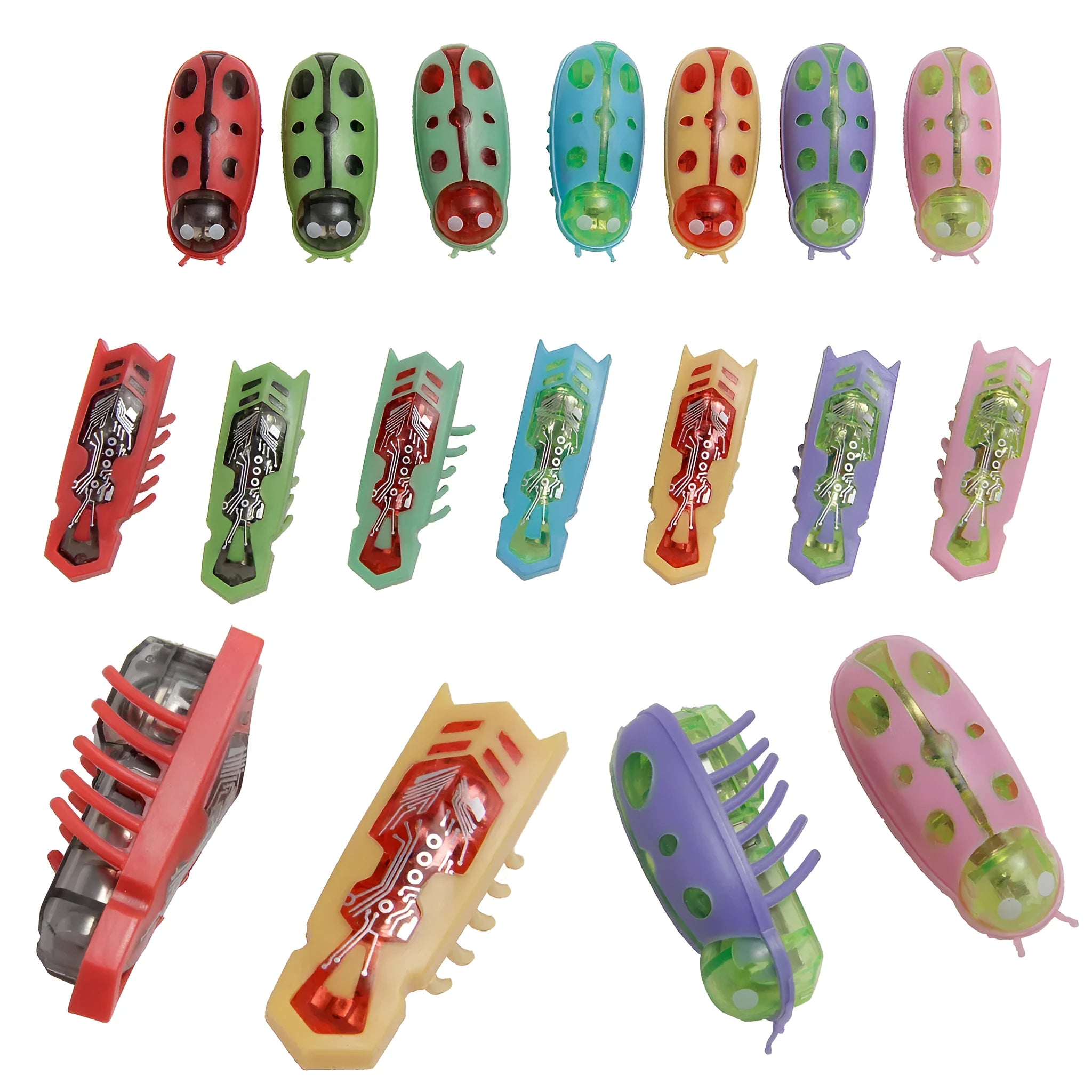 Mini electric bug cat toy showing ladybird beetle shape with angular legs