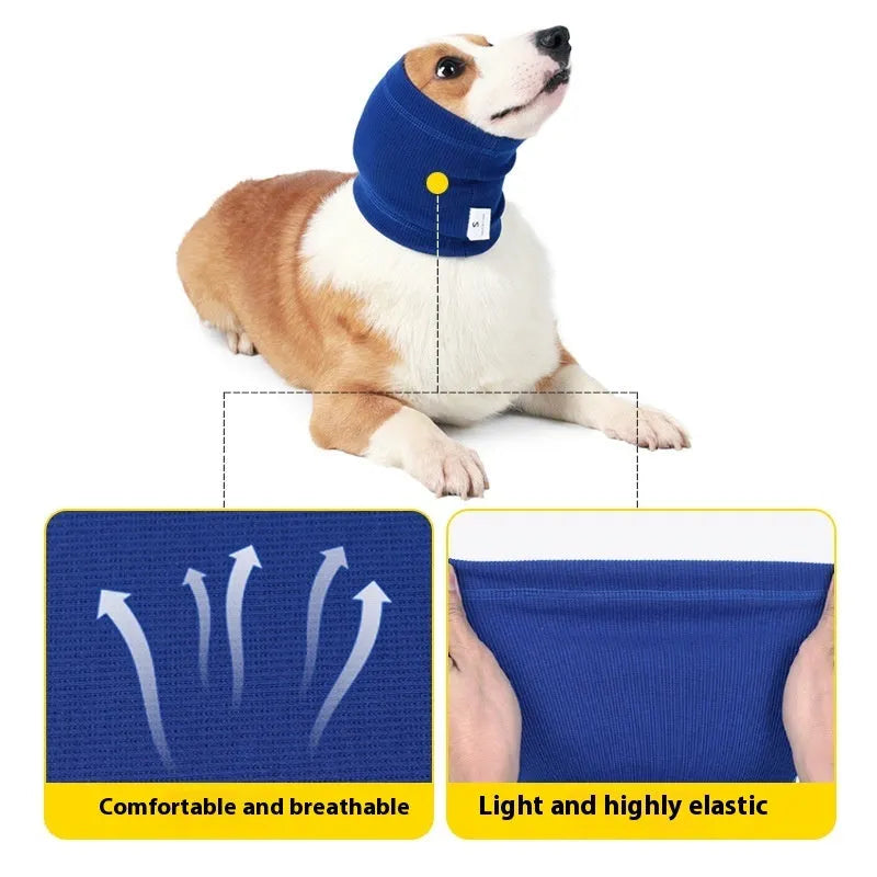 Blue polyester dog bandana scarf tied around a dog's neck, shown in size M.