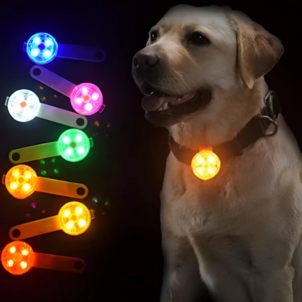 LED pet pendant light, 8x3x1.3cm, 32g, plastic buckle clasp, blue red yellow, for dog collar or leash