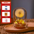 Hand-blown glass dandelion night light ornament with LED illumination in gradient colour options