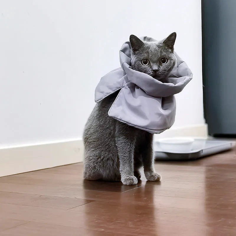 Soft adjustable Elizabethan recovery collar for cats in blue, shown on a cat to prevent licking.