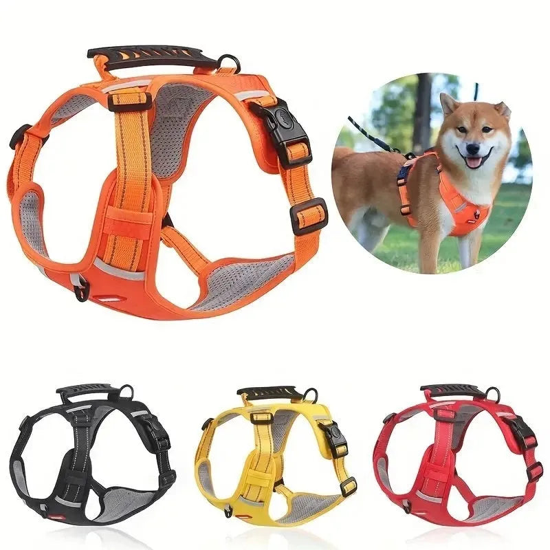 Adjustable polyester dog chest harness and lead in various colours on a white background