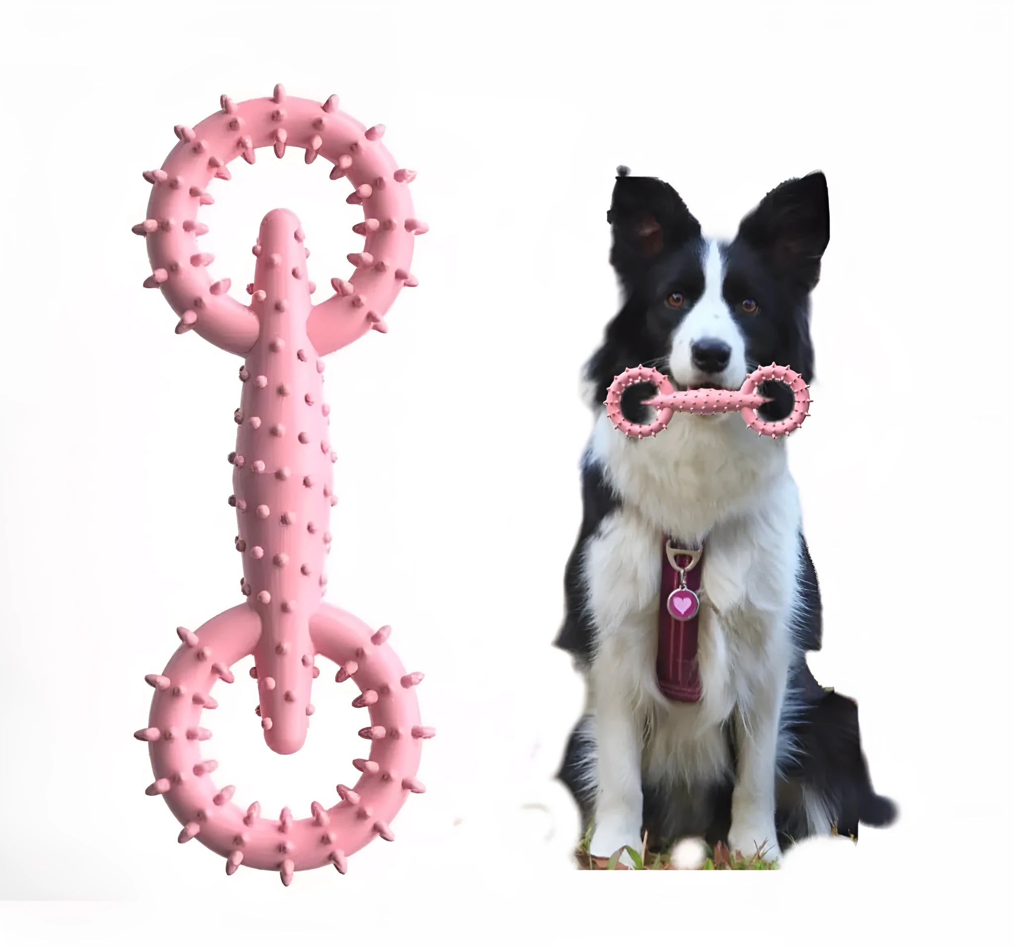 Blue TPR dog chew toy ring measuring 16cm for teething puppies
