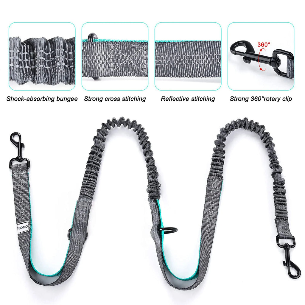Black waterproof nylon dog walking waist bag set with adjustable leash and matching collar
