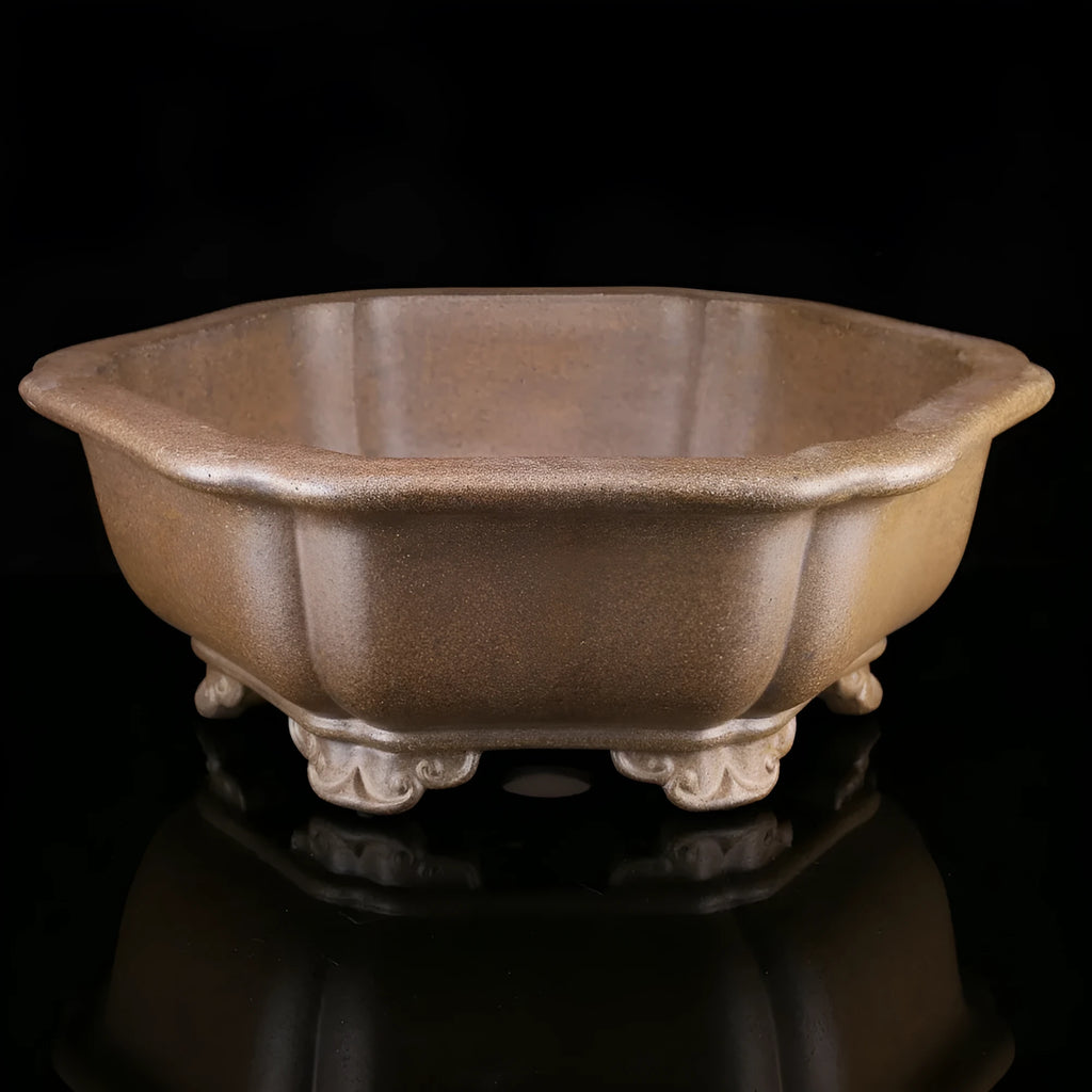 Handmade purple sand bonsai pot in hexagonal and begonia basin styles