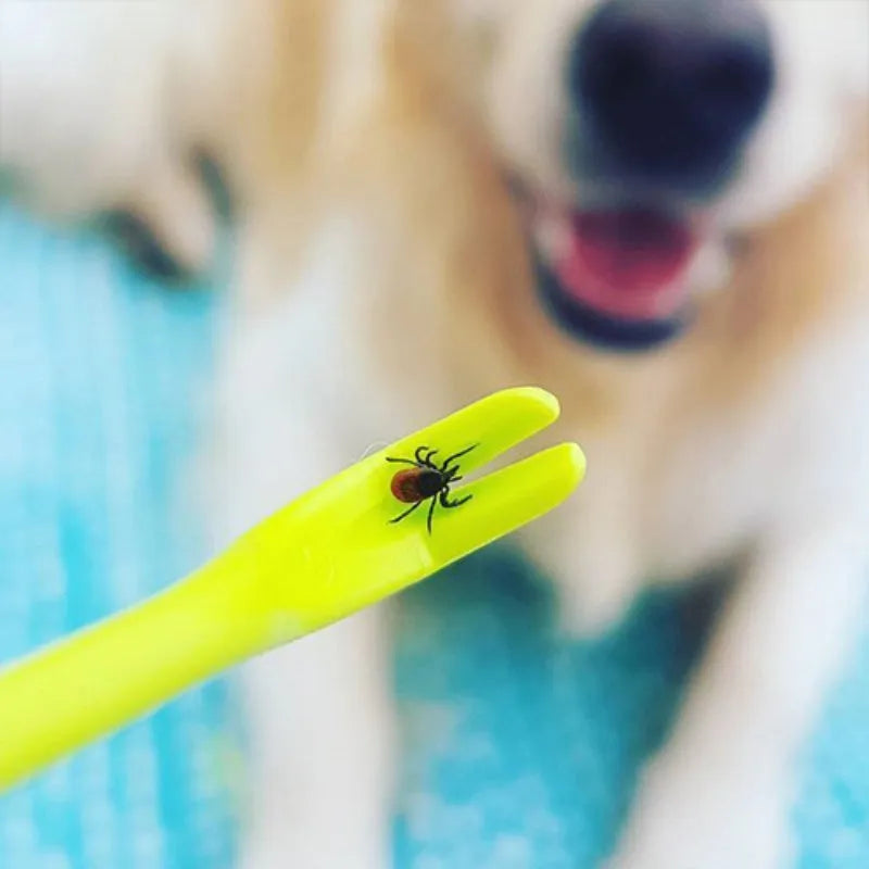 Three plastic pet tick removal hooks in blue or green colours for dog and cat grooming