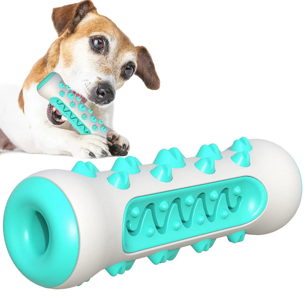 Natural rubber dog toothbrush chew toy in blue colour showing textured dental cleaning surface