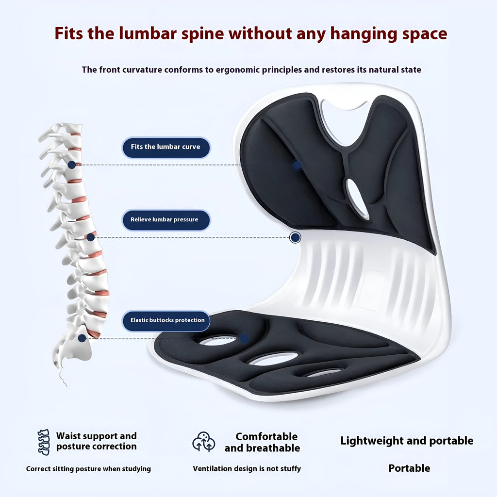 Japanese-style grey and black lumbar support cushion for chairs, showing Classic and Upgraded models.