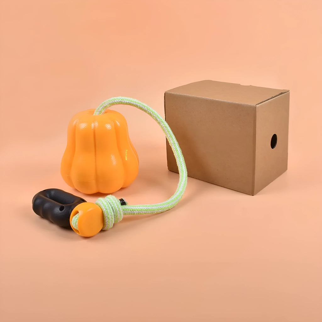 Pumpkin coloured plastic molar dog toy with rope attachment for outdoor throwing