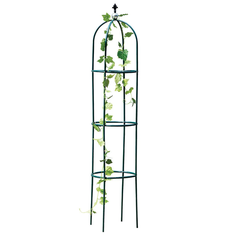 Dark green wrought iron plant climbing frame lattice standing on floor next to potted vine.