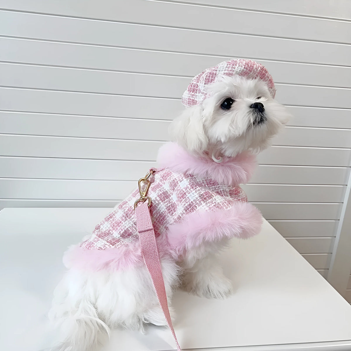 Pink polyester pet cloak set with beret and traction rope for small cats and dogs