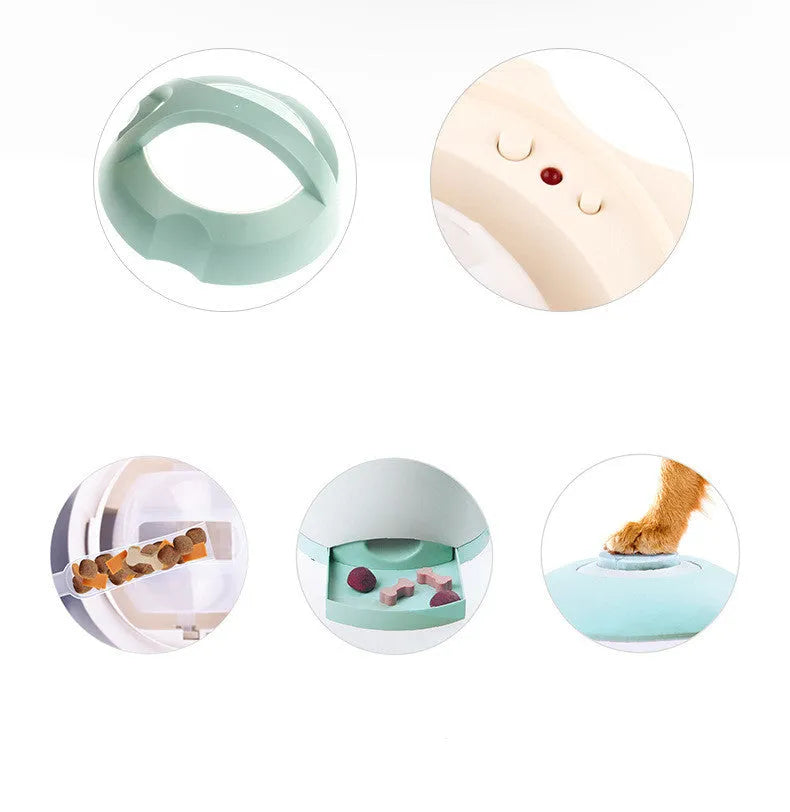 Light green automatic dog feeder with push button, USB powered, 20x20x24cm, non-toxic material