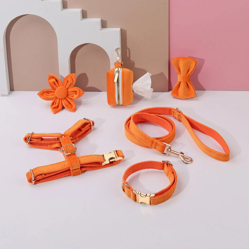 Pet collar and harness set with velvet material, traction rope, chest strap, bow tie, flower accessory, and toilet bag