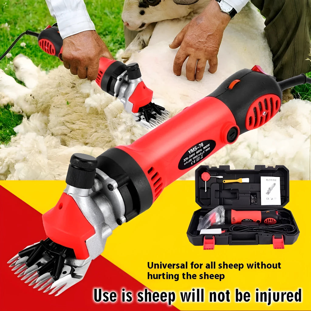 Yellow-handled electric sheep shears with blades and accessories inside a plastic storage box.