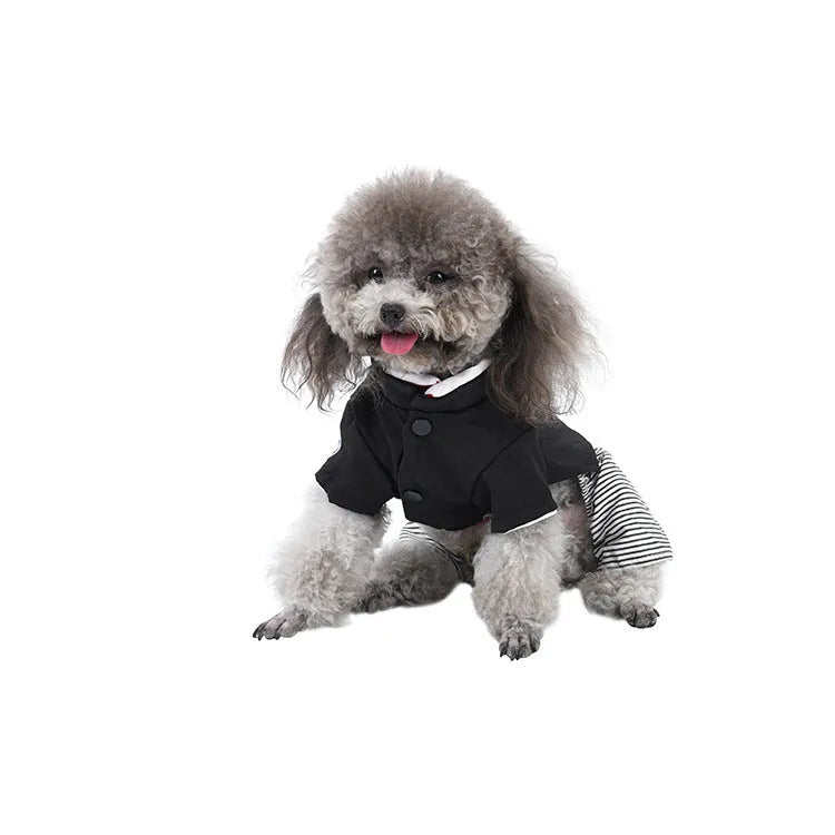 Cotton poodle dog clothes in four-foot pants and skirt styles for small dogs