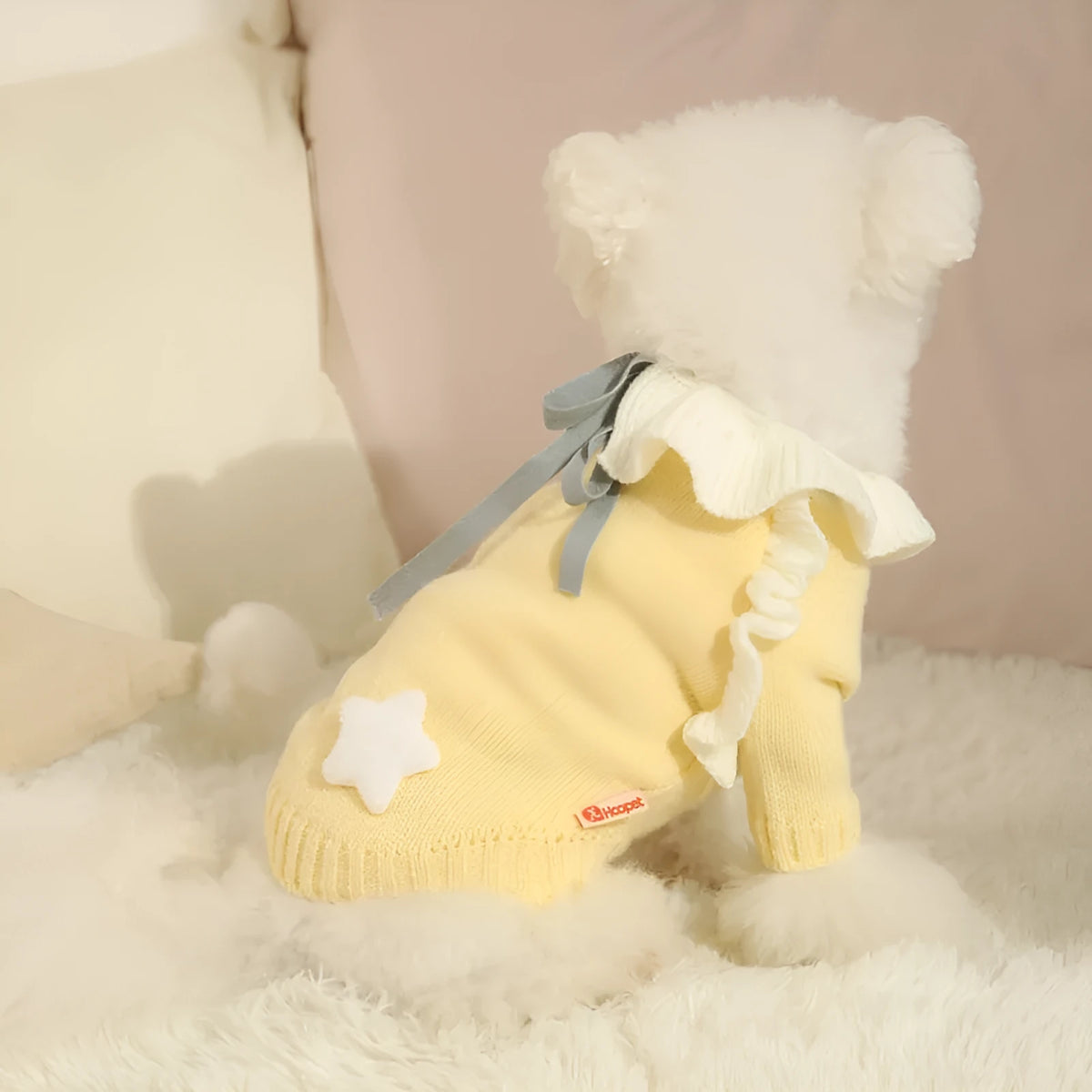 Yellow acrylic knit dog sweater jumper on a small dog, showing casual pullover style.