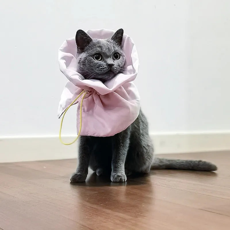 Soft adjustable Elizabethan recovery collar for cats in blue, shown on a cat to prevent licking.