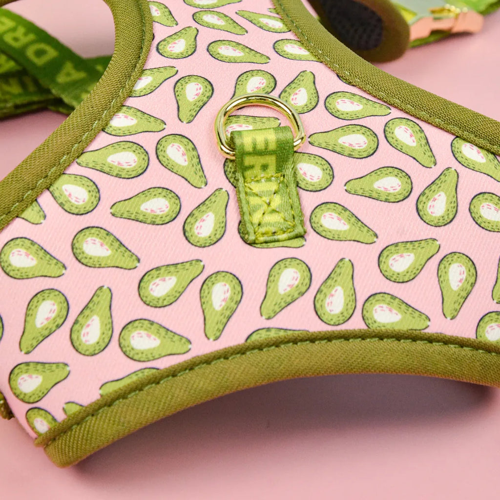 Colourful polyester dog harness and lead set for medium and large breeds on a white background.