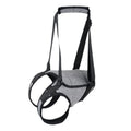 Grey neoprene recovery belt for dog rear leg support showing adjustable sizing
