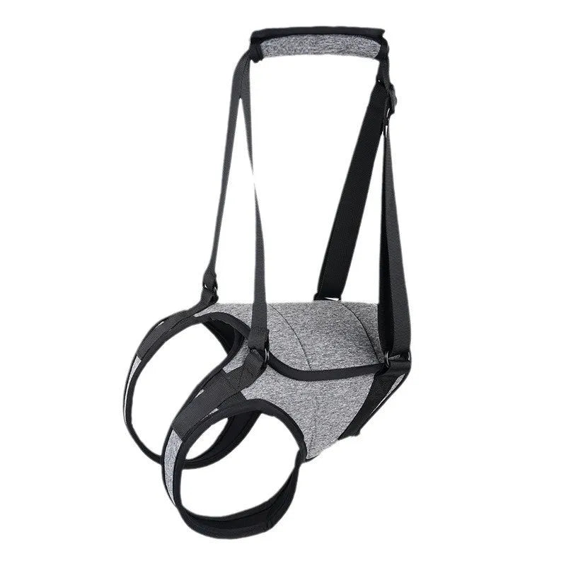 Grey neoprene recovery belt for dog rear leg support showing adjustable sizing