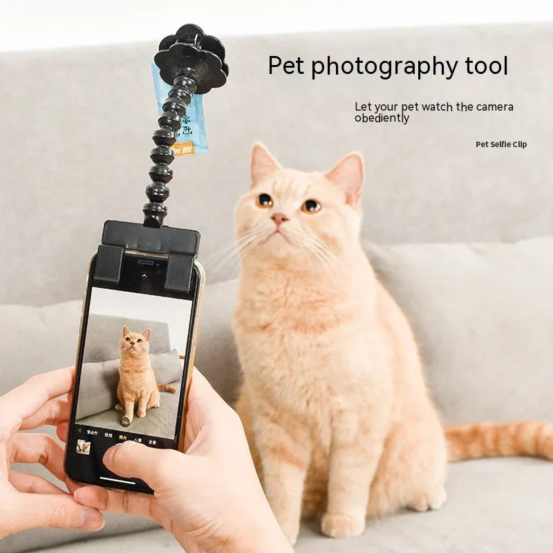 Black pet photography mobile phone holder with snack clip for attracting cat and dog attention during photos