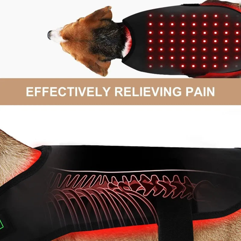 Black pet red light infrared physiotherapy device with wireless portable design and protective cover.