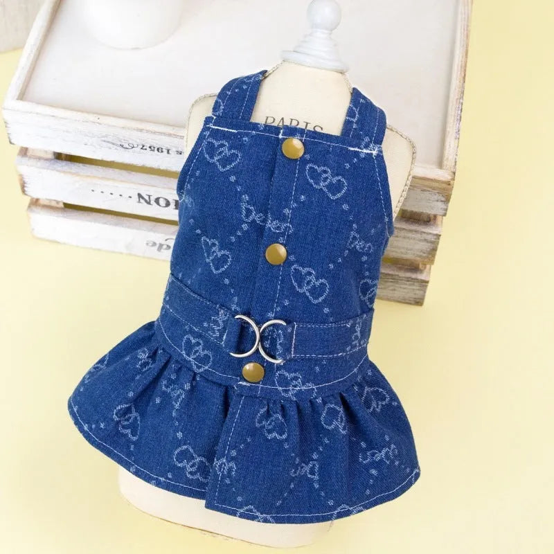 A small dog wearing a light blue denim princess dress with a bracket-style skirt.