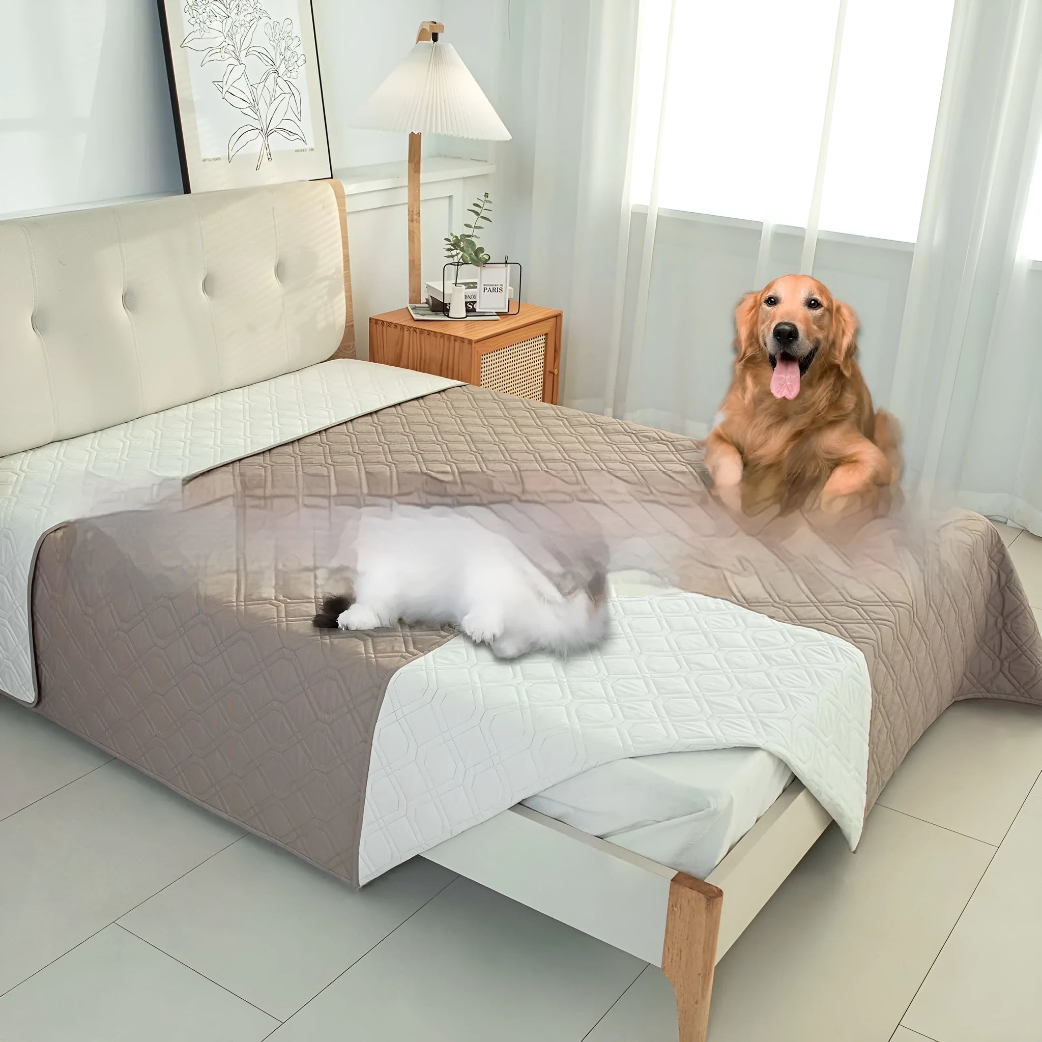 Double-sided waterproof dog sofa cushion in dark grey and light grey reversible colours on a sofa