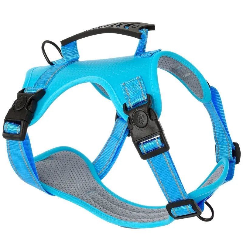 Adjustable polyester dog chest harness and lead in various colours on a white background