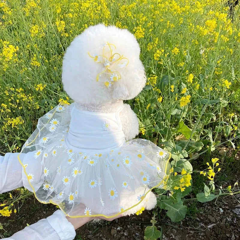 Yellow little daisy print dog clothes with full body coverage including all four legs