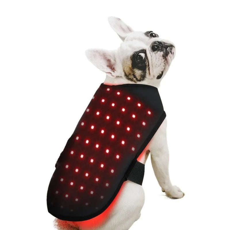 Black pet red light infrared physiotherapy device with wireless portable design and protective cover.