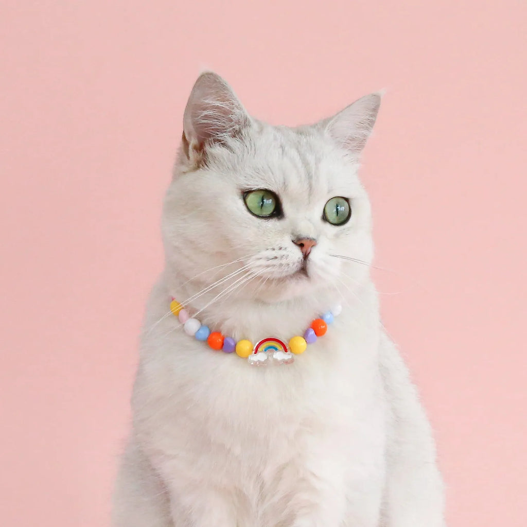 Colourful plastic pearl necklace for small dogs and cats with adjustable sizing