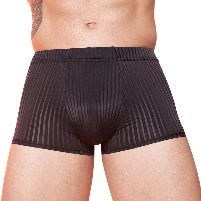 Men's striped transparent underwear in black, white and dark grey colours showing thin nylon fabric