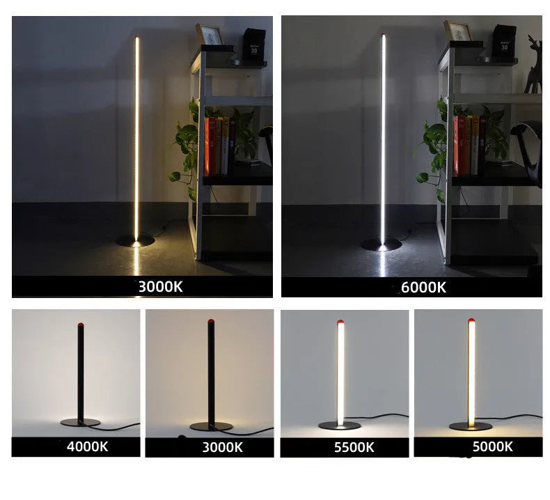 Vertical aluminum alloy floor lamp in modern simplicity style with USB power connection
