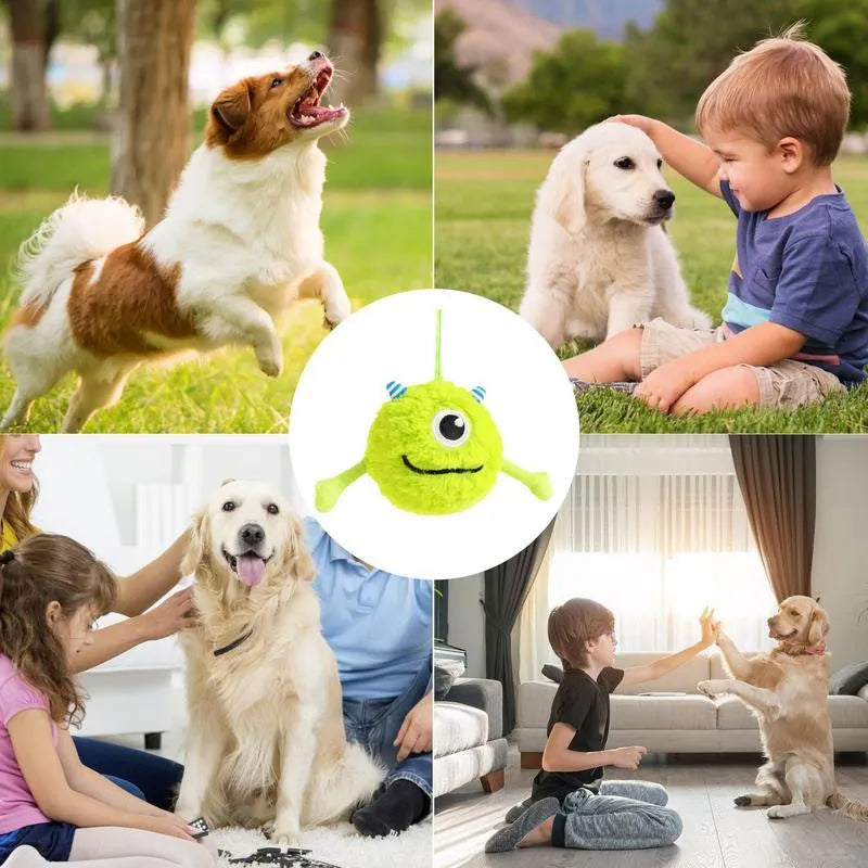 Green plush and TPR dog toy ball with sound interactive feature for teething puppies.