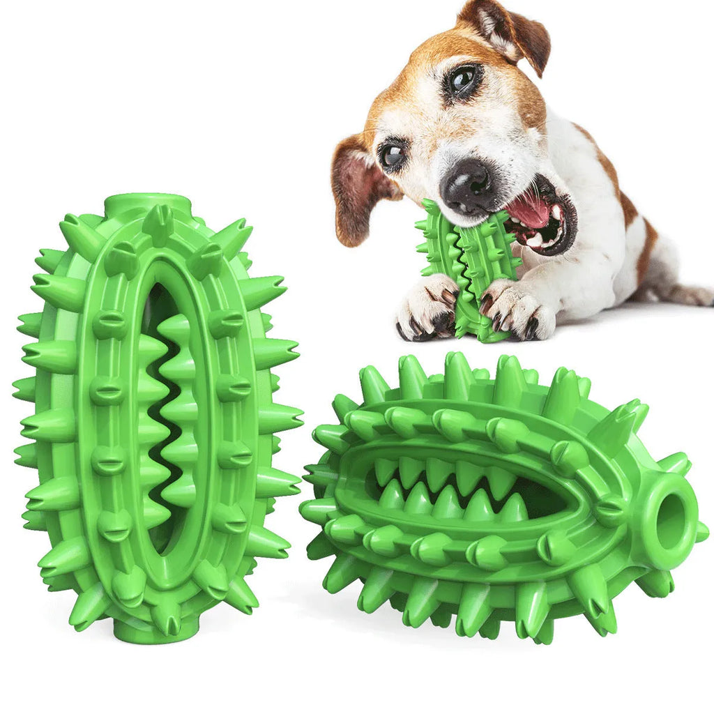 Green cactus-shaped dog toothbrush toy for dental cleaning with textured bumps