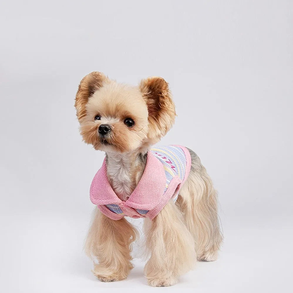 Pink purple dog autumn vest shown on a small dog, with size chart for XXS to XXL.