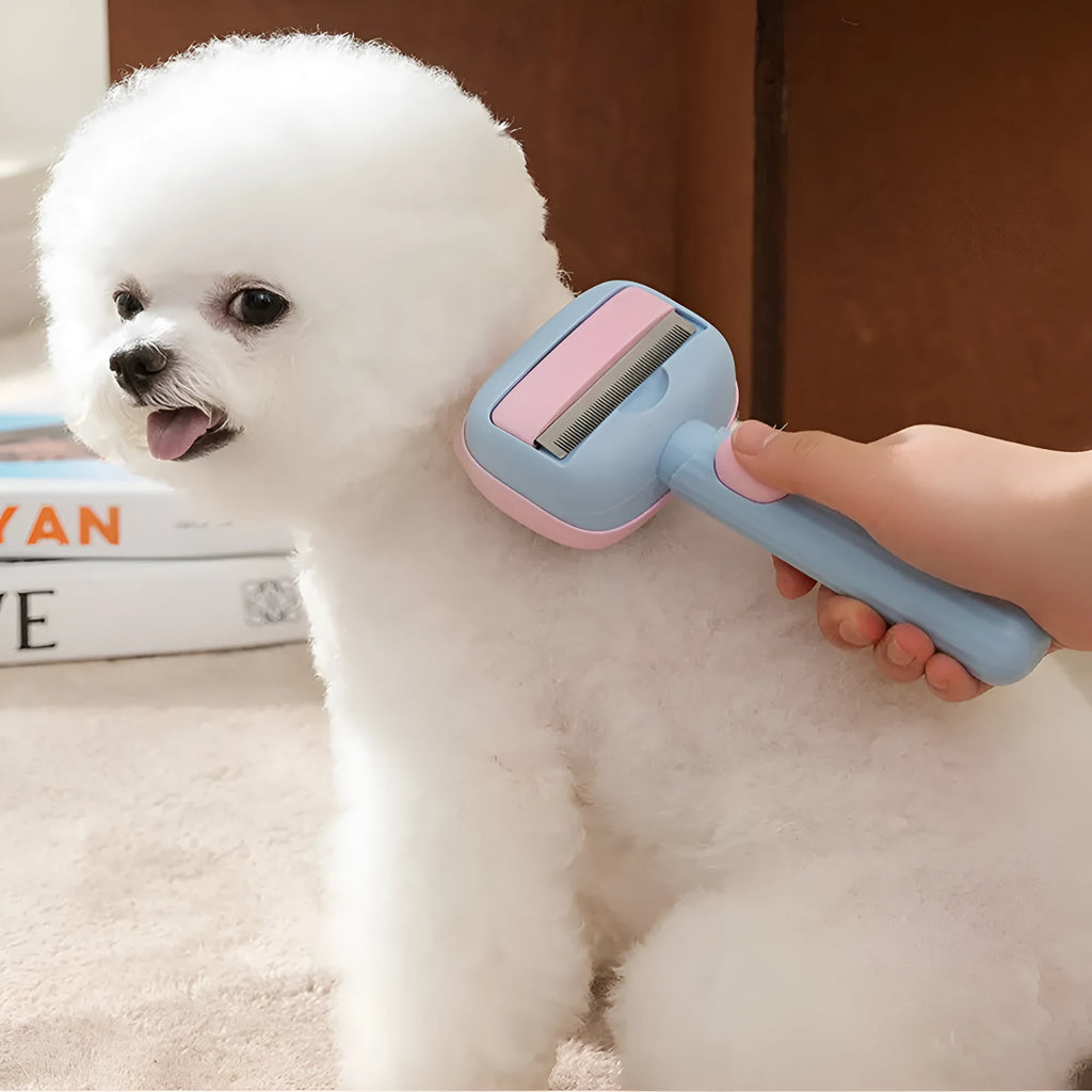 Blue double-sided pet grooming brush showing deshedding rake and dematting comb