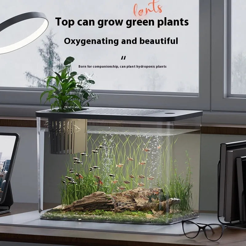 Medium plastic betta fish tank with cover in black and white colour options showing dimensions