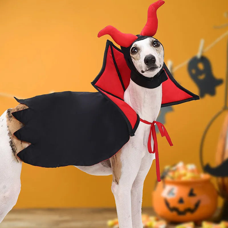 Black polyester vampire cloak and hat costume for pets on Halloween