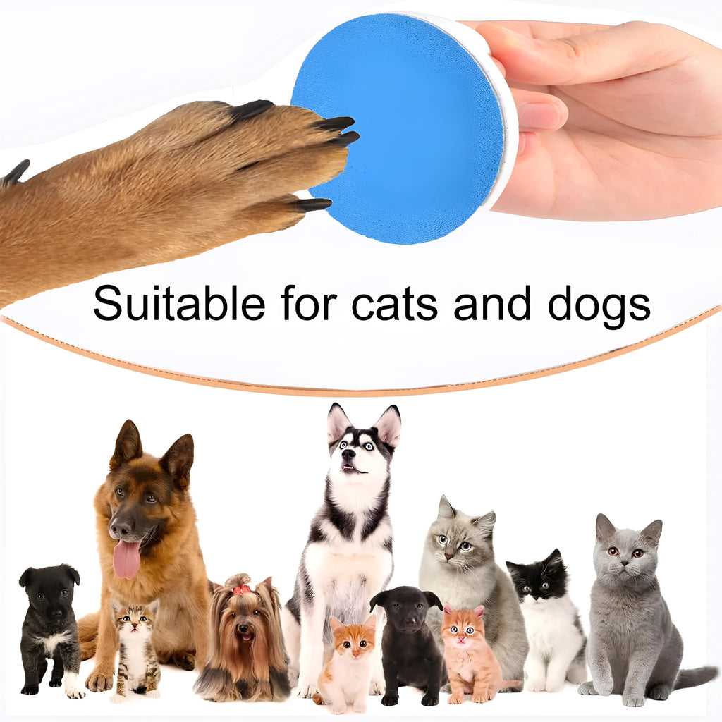 Upgraded dog nail file scratch board with ergonomic handle in blue, green, yellow, or black colour.