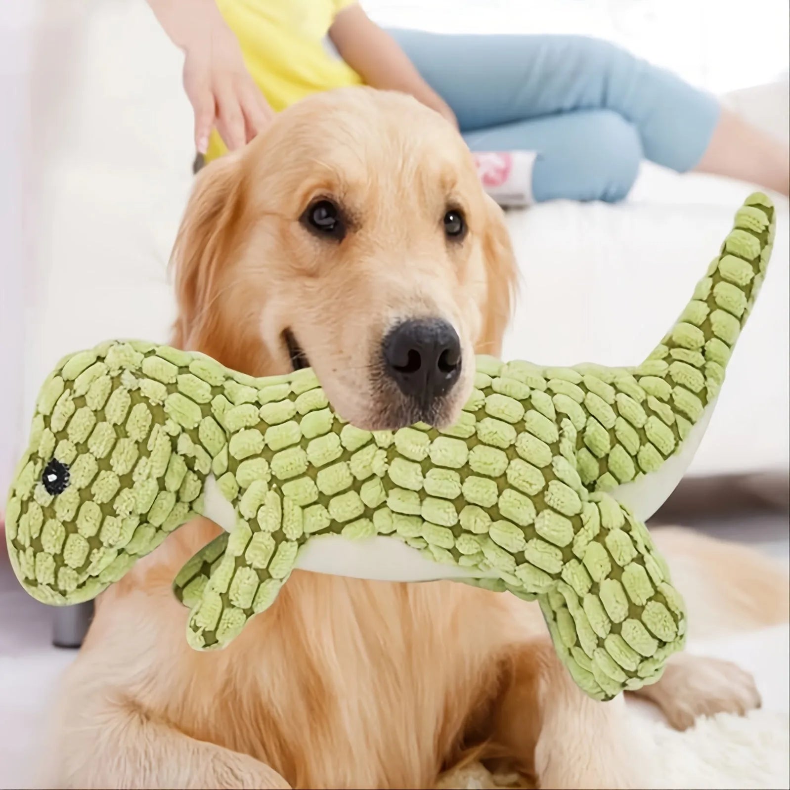 Grey, green, or orange coloured chew-resistant dog toy that produces sound.